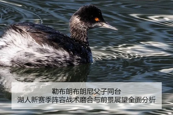 lei-bu-lang-bu-lang-ni-fu-zi-tong-tai-hu-ren-xin-sai-ji-zhen-rong-zhan-shu-mo-he-yu-qian-jing-zhan-wang-quan-mian-fen-xi-3-534.jpg