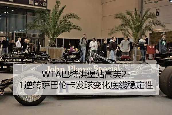 ba-te-hong-bao-zhan-gao-fu-ni-zhuan-sa-ba-lun-ka-fa-qiu-bian-hua-di-xian-wen-ding-xing-2-443.jpg