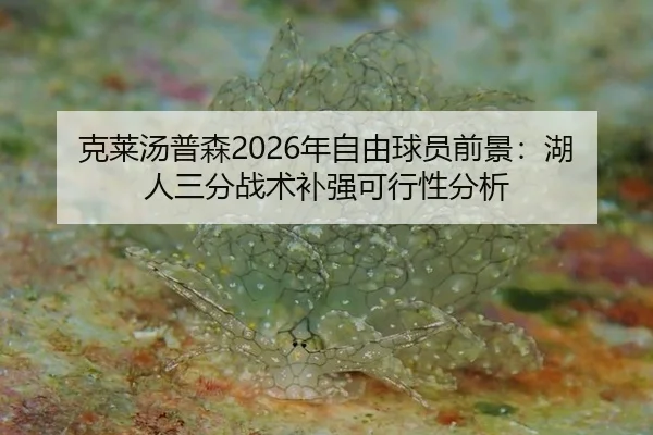 ke-lai-tang-pu-sen-nian-zi-you-qiu-yuan-qian-jing-hu-ren-san-fen-zhan-shu-bu-qiang-ke-xing-xing-fen-xi-2-234.jpg